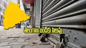 14న రాష్ట్ర బంద్: బిసి సంఘాల పిలుపు