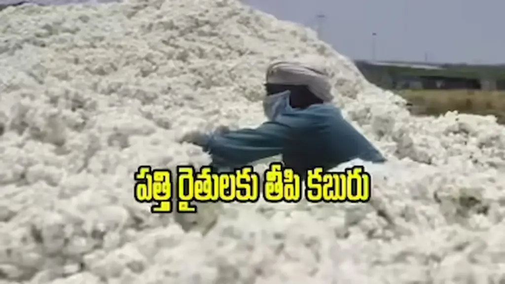 News Telugu: Telangana: తెలంగాణలో పత్తి రైతులకు సర్కార్ శుభవార్త