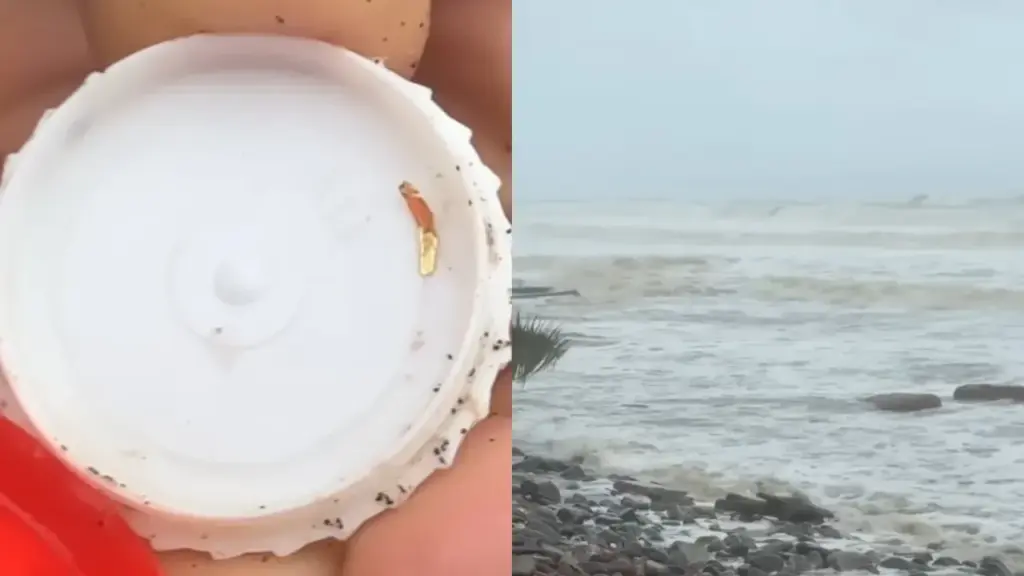 Telugu News: Montha Cyclone: బంగారం కొట్టుకొని వస్తుంది..ఉప్పాడ ప్రజల నిరీక్షణ