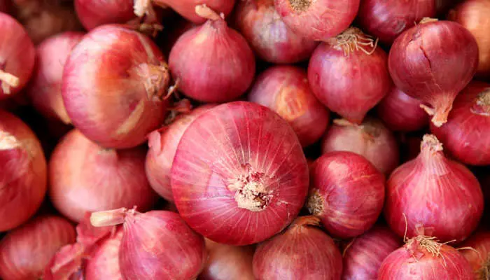 Telugu News: Onion Prices: దారుణంగా పడిపోయిన ఉల్లి ధరలు