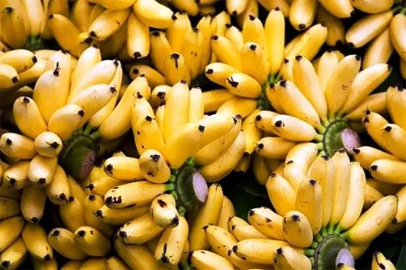 Breaking News – Banana Price : అరటిపండ్లు కేజీ రూపాయి.. డజను రూ.60!
