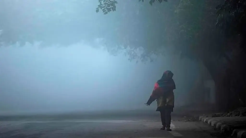 Latest News: TG Weather: వచ్చే రెండు రోజులు చలి తీవ్రత కొనసాగే అవకాశం