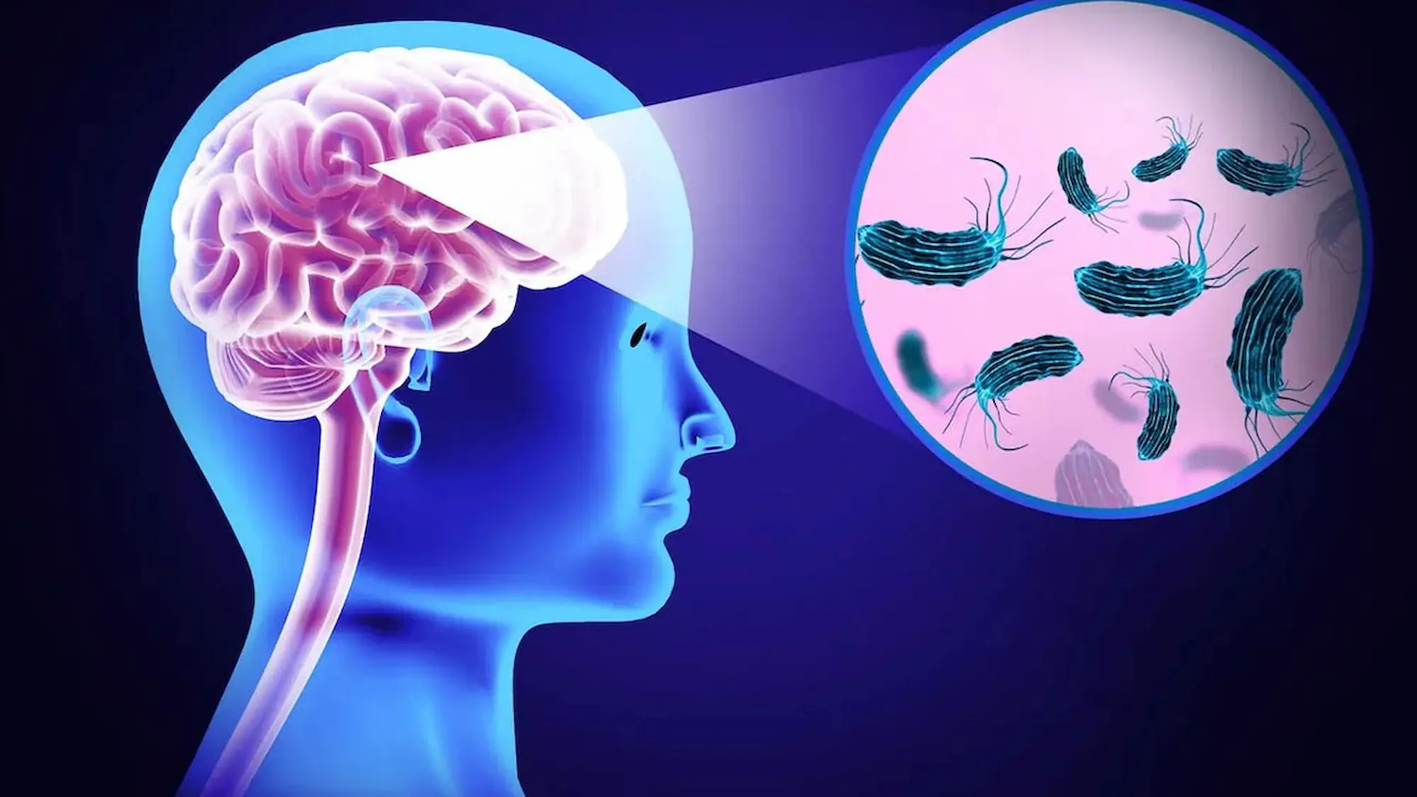 Amoeba: Brain-eating amoeba in Kerala… Devotees alert!