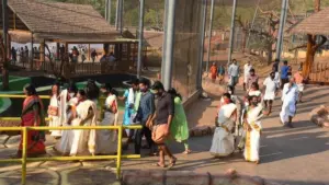 దుప్పులను చంపేసిన కుక్కలు