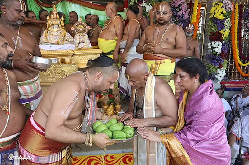 News Telugu: AP: పద్మావతి అమ్మవారి బ్రహ్మోత్సవాలకు నేడు అంకురార్పణ..