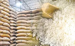 నల్గొండకు లక్ష మె.ట. ఉప్పుడు బియ్యం కోటా మంజూరు చేయాలి