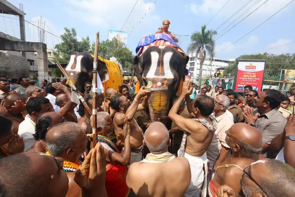 TTD: తిరుపతిలో శ్రీవారి సారె ఊరేగింపు