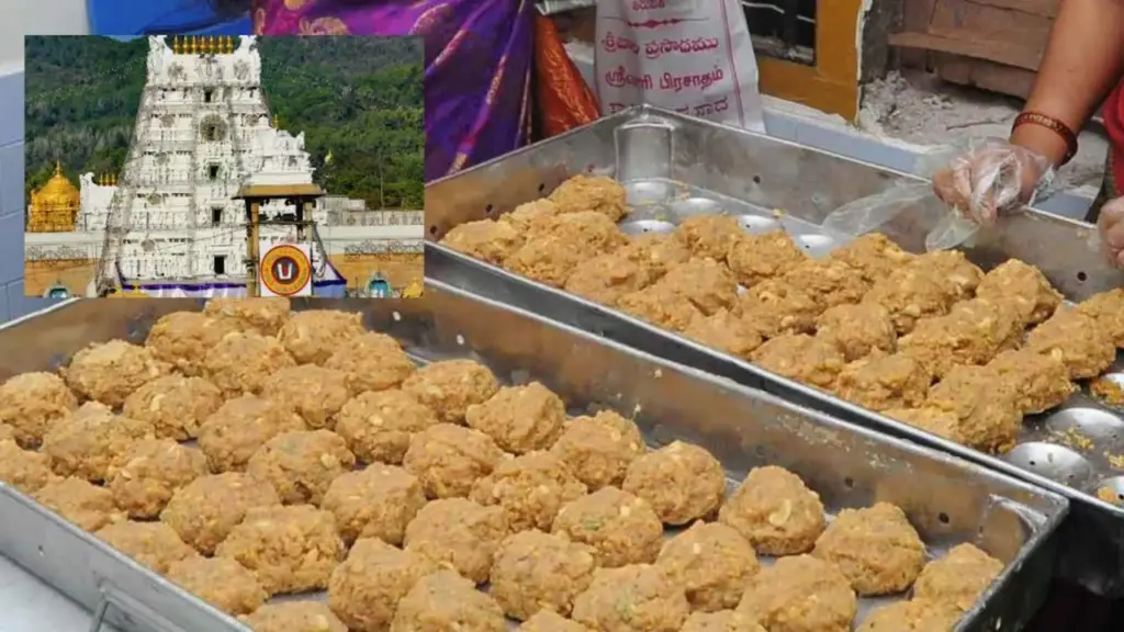 News Telugu: TTD: కల్తీనెయ్యిలో కీలకం గత టిటిడి బోర్డు పెద్దలే! అధికారుల నుండి సమాచారం