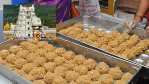 కల్తీనెయ్యిలో కీలకం గత టిటిడి బోర్డు పెద్దలే! అధికారుల నుండి సమాచారం