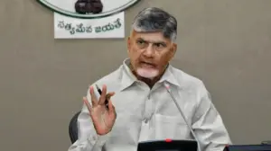 వైద్యుల నిర్లక్ష్యంపై కఠిన చర్యలకు చంద్రబాబు ఆదేశం