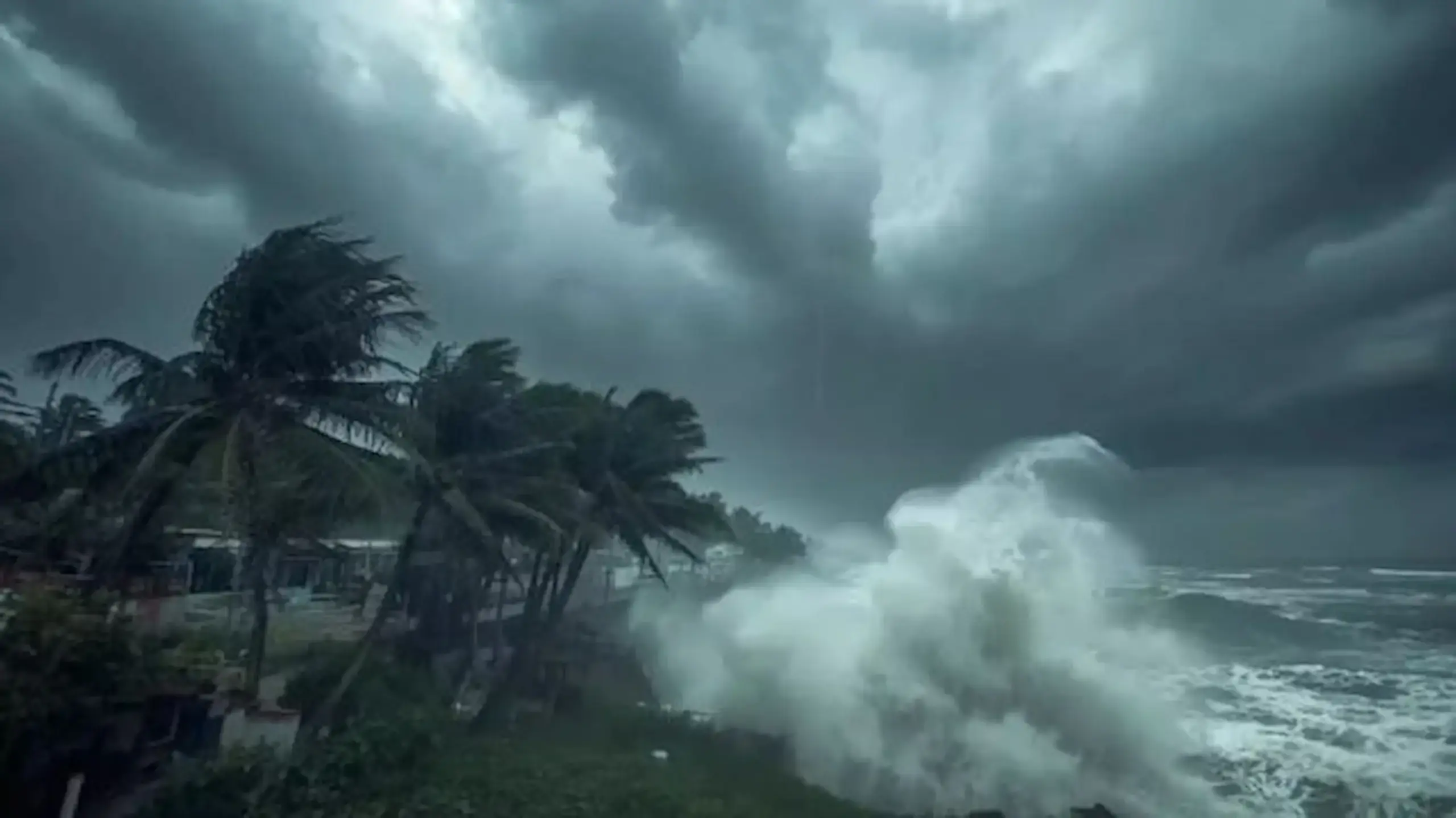 Dithwa Cyclone: తమిళనాడులో భారీ వర్షాలు.. విద్యా సంస్థలకు సెలవులు