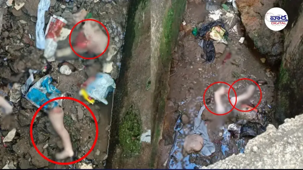 VIZAG: వైజాగ్‌లో హృదయవిదారక ఘటన.. శిశువును ముక్కలు చేసి కల్వర్టులో