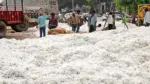 CCI Rules: CCI rules are troubling cotton farmers