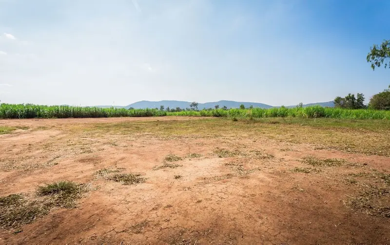 Latest News: AP: ఆంధ్రాలోని అనుమతుల్లేని ప్లాట్ల యజమానులకు మరో అవకాశం