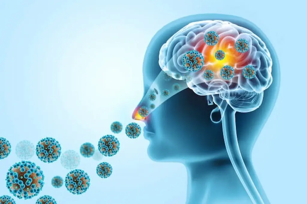 Amoeba: Brain-eating amoeba in Kerala… Devotees alert!