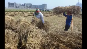 టార్పాలిన్ సరఫరా నిలిపివేతతో రైతుల ఆందోళన