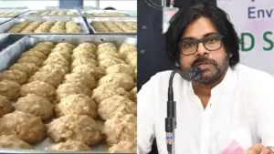 భక్తుల మనోభావాలపై ఆటలాడొద్దు పవన్ కల్యాణ్