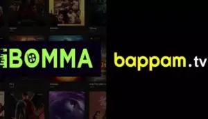 iBOMMA, BAPPAM సైట్లు బ్లాక్