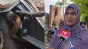 స్కూటర్​లో దాక్కున్న పాము: ‌ ప్రాణాలతో బయటపడ్డ భయానక ఘటన