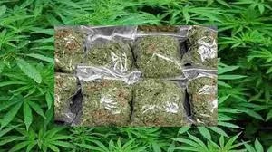 గంజాయ్ మత్తులో బస్సును ధ్వంసం చేసిన యువకులు