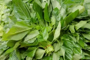 తోట‌కూర‌తో క‌లిగే లాభాలు తెలిస్తే ఆశ్చ‌ర్య‌పోతారు..!