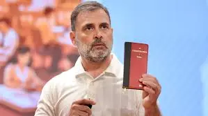 ఎన్నికల వ్యవస్థపై రాహుల్ ఆరోపణలు: మాజీ సీఈసీ గట్టి సూచనలు