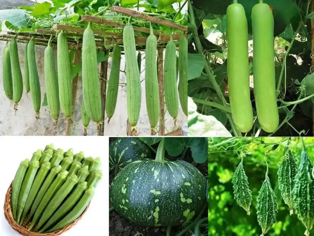 Shivraj Singh Chouhan