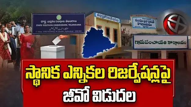 TG Elections: పంచాయతీ ఎన్నికల రిజర్వేషన్స్ జీవో విడుదల