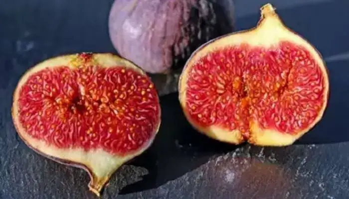 figs