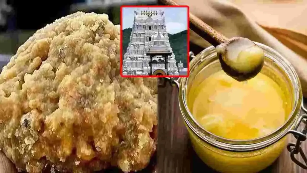 TTD: సాగుతున్న కల్తీ నెయ్యి కేసు! సూత్రధారులు ఇంకా దొరకలేదా?