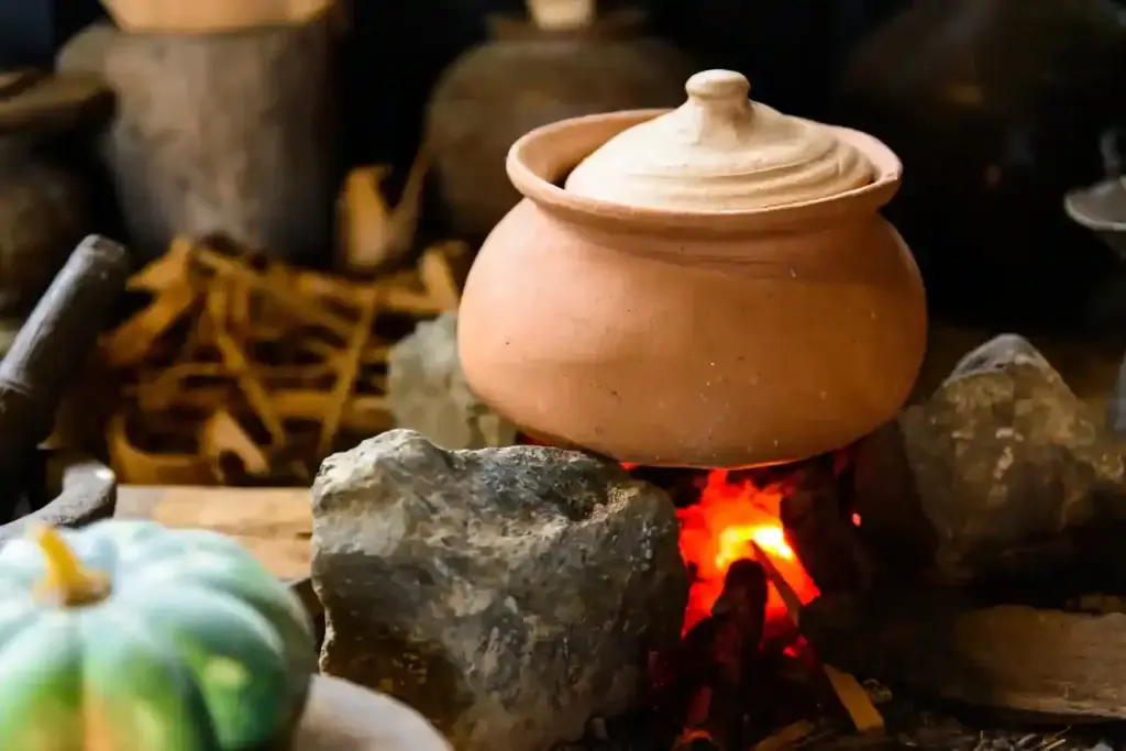 Matka Cooking: మట్టిపాత్రల ఉపయోగం: ఆరోగ్య ప్రయోజనాలు, శుభ్రపరిచే సూచనలు