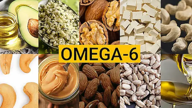 Latest Telugu News : Omega 6 Fatty Acids : ఒమెగా 6 ఫ్యాటీ యాసిడ్లు అంటే ఏమిటో తెలుసా..?