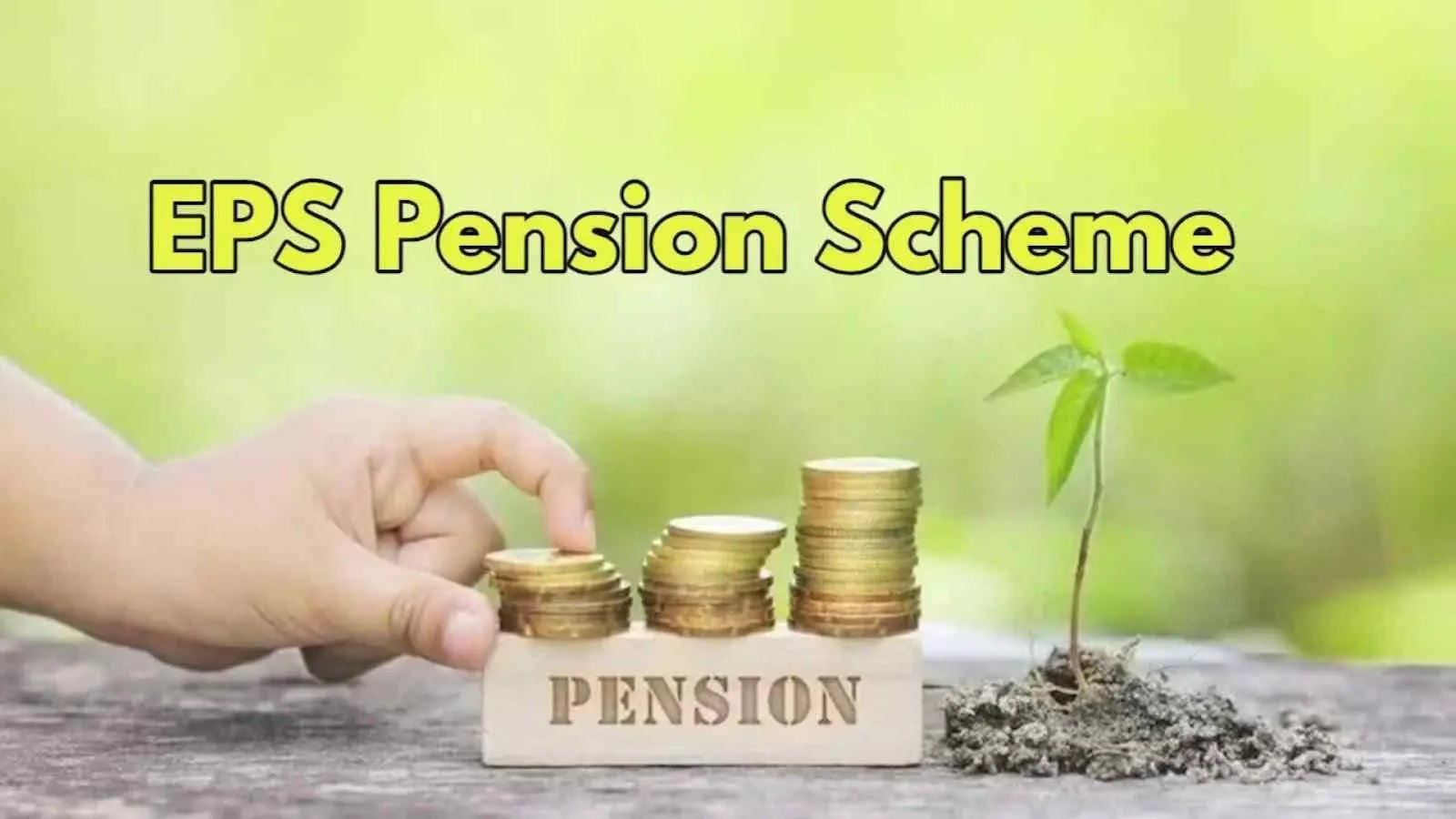 EPS Pensions: పెన్షనర్లకు భారీ బెనిఫిట్: 800% పెరిగే EPS పెన్షన్