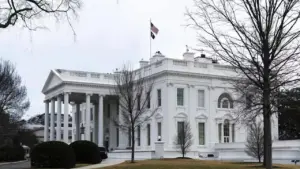 నిపుణుల అవసరత ఉంది .. వారి ఉద్యోగ భద్రత మాదే