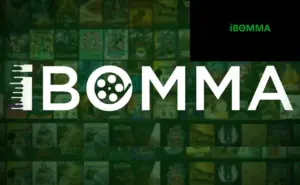 పైరసీ కేసులో రవి ఇమ్మడి కథ — పోలీసుల విచారణలో ఆసక్తికర వివరాలు