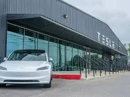 Tesla India