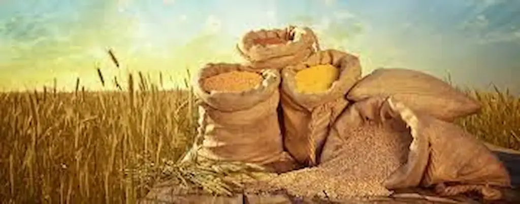 India sets new record in food grain production