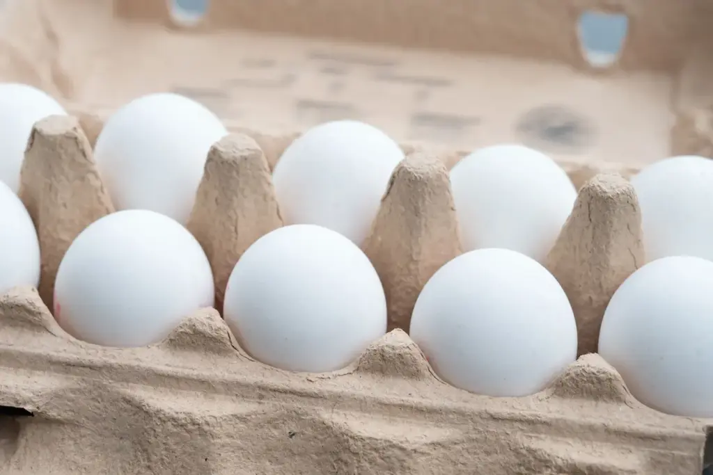 Egg prices hit record high in Telugu states