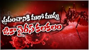 Zika వైరస్ వ్యాప్తి మార్గాలు, చికిత్స, గర్భిణీలకు రిస్క్..