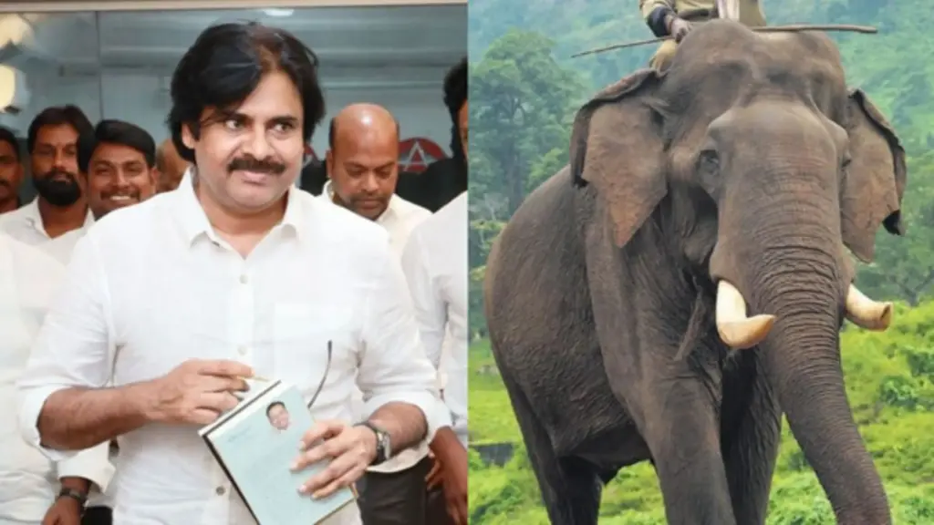 News Telugu: Pawan Kalyan: గజరాజుల నుంచి ఆశీర్వాదం తీసుకున్న పవన్.. వీడియో వైరల్!