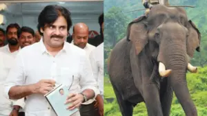 గజరాజుల నుంచి ఆశీర్వాదం తీసుకున్న పవన్.. వీడియో వైరల్!