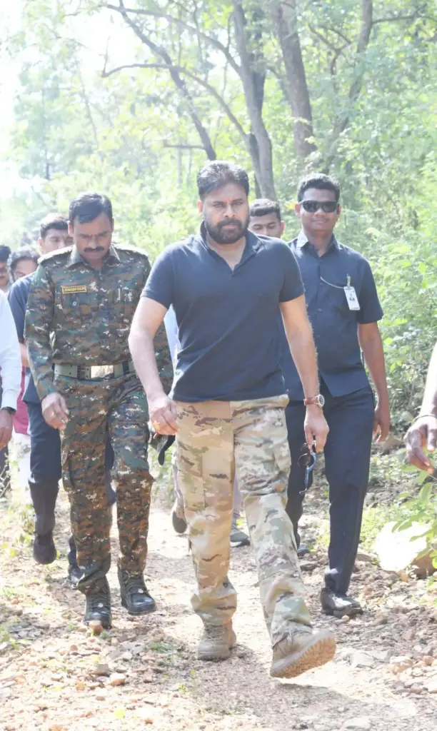 DCM Pawan Kalyan