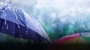 ఏపీలోని పలు జిల్లాల్లో భారీ వర్షాలు