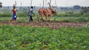 18 ఏళ్లు నిండిన రైతులకు రూ.5 లక్షలు..