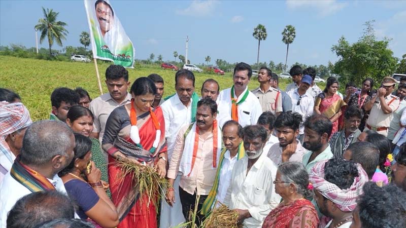 Montha Cyclone Effect : ఎకరాకు ప్రభుత్వం రూ.25వేల పరిహారం ఇవ్వాల్సిందే – షర్మిల డిమాండ్