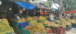 చిత్తూరులో మ్యాంగో బోర్డు