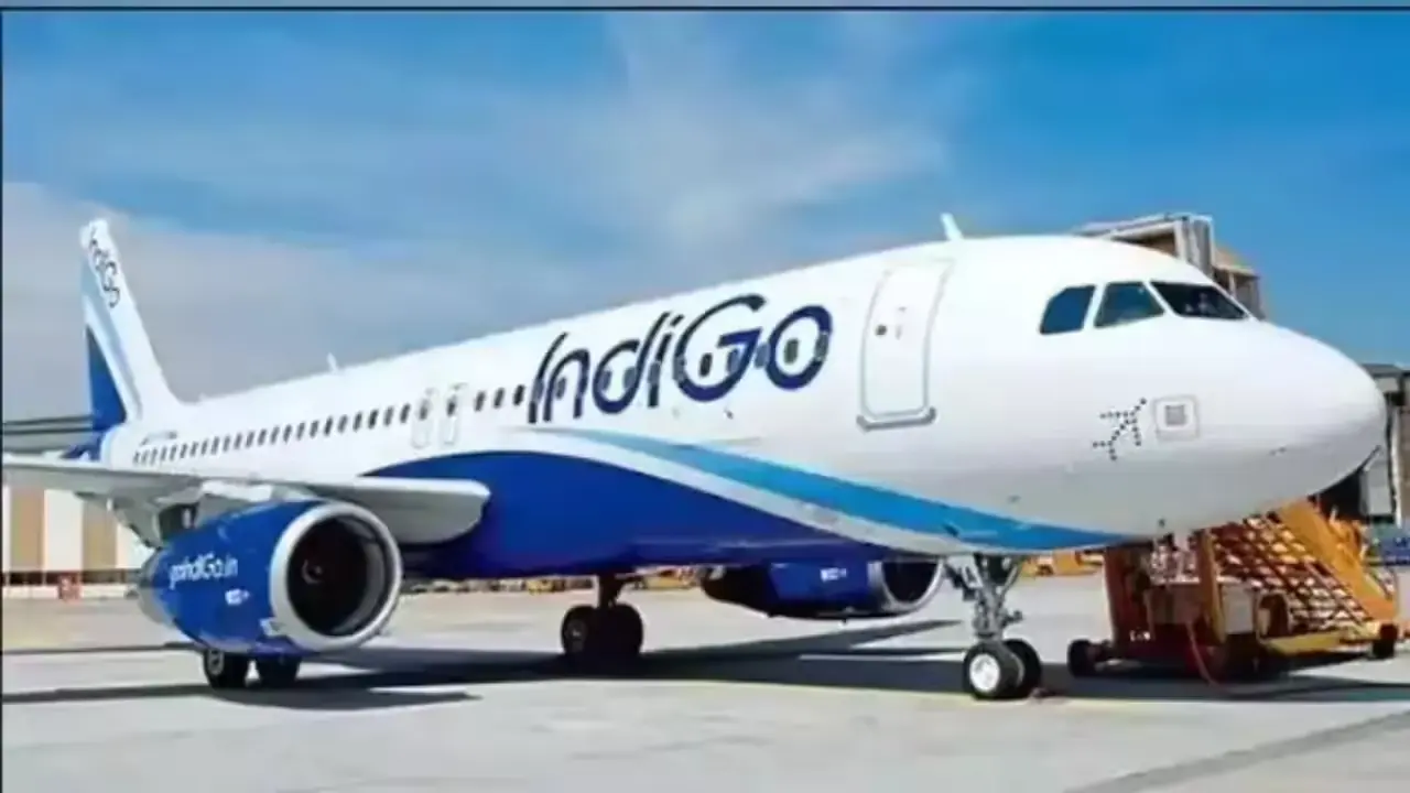 Indigo