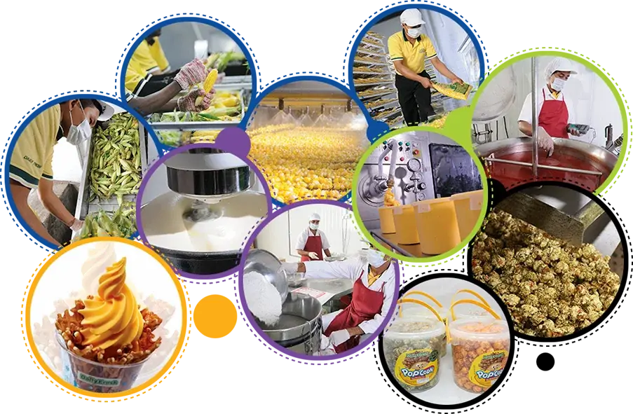 రాష్ట్రంలో 3వేల ఫుడ్ ప్రాసెసింగ్ యూనిట్లు