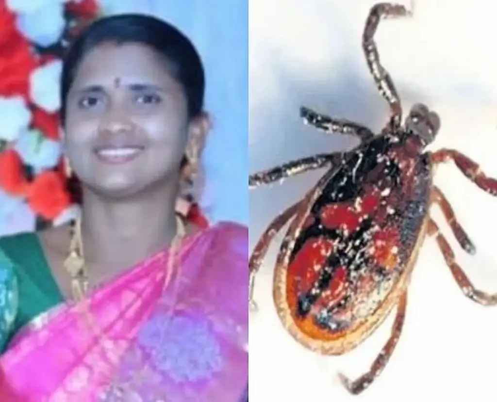 Latest News: Scrub typhus: స్క్రబ్ టైఫస్ అనే కీటకం కుట్టడంతో.. మహిళ మృతి