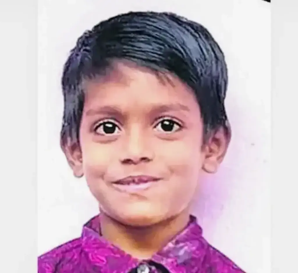 AP Crime: Boy dies due to mosquito bite